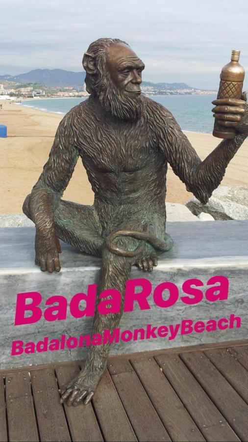 Badarosa 2 House10Min To Barceloncity&Nearto Beach Μπαδαλόνα Εξωτερικό φωτογραφία